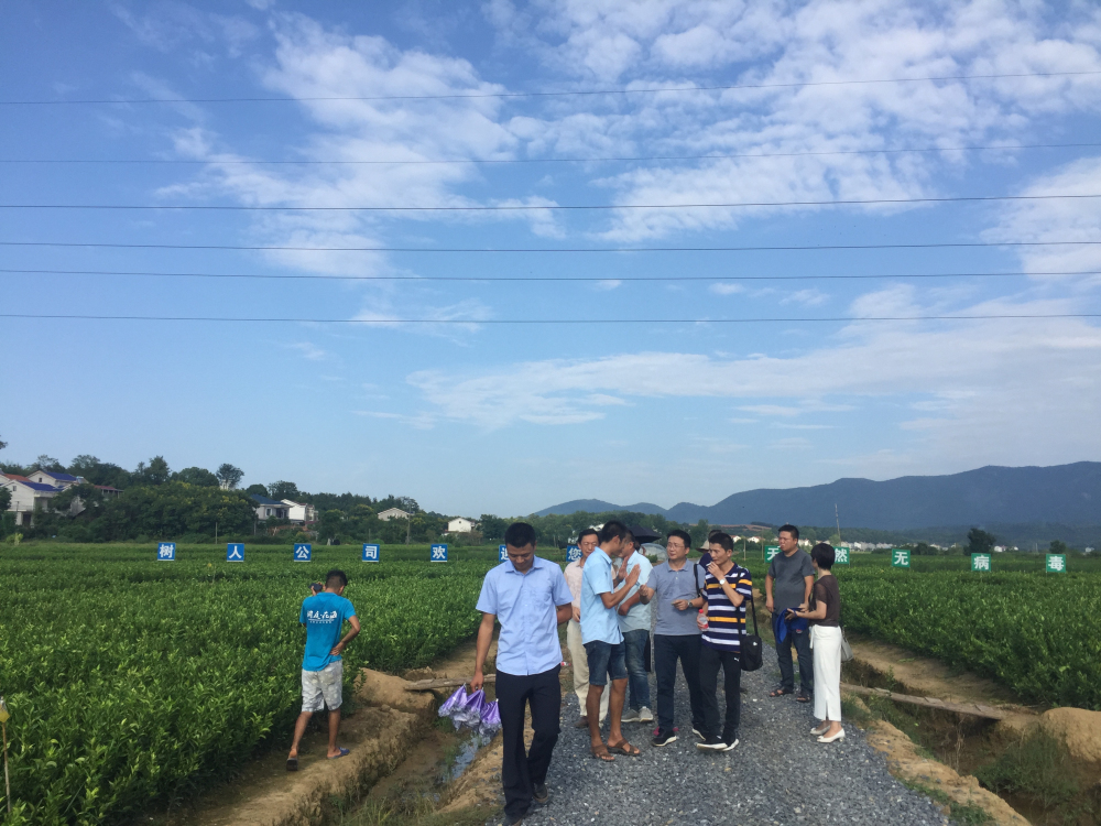 湖南省農(nóng)業(yè)科技特派員李密教授、李飛翔專家等一行蒞臨樹人公司調(diào)研指導