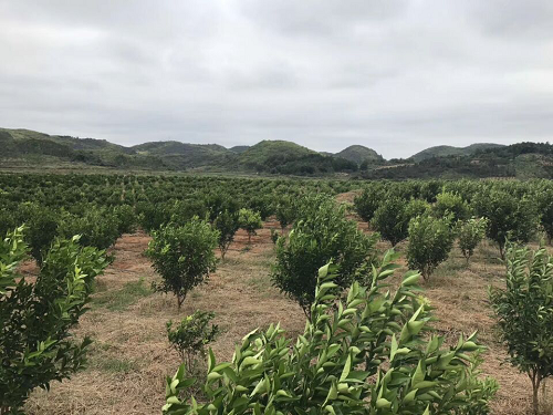 客戶回訪第三站-富川