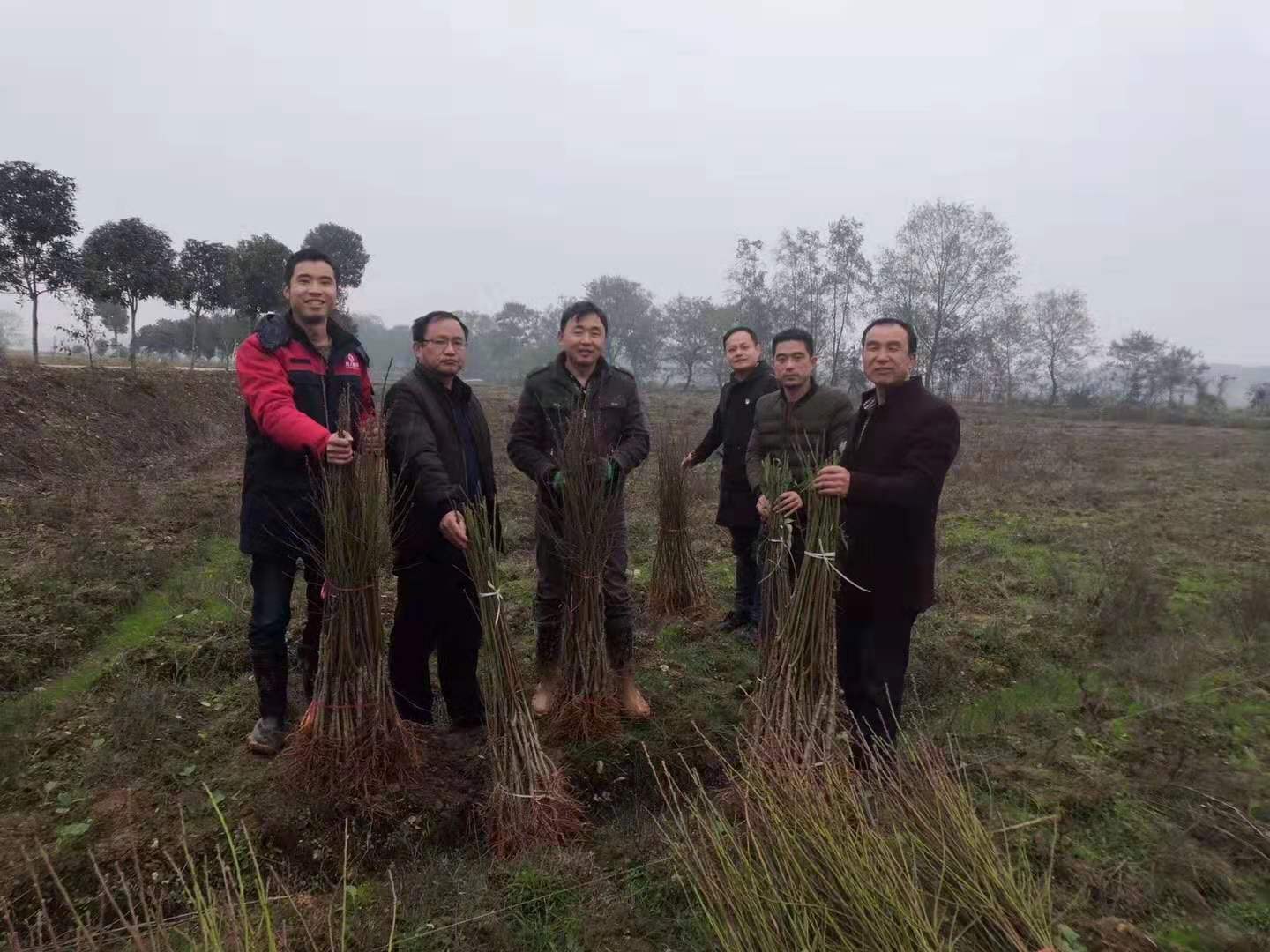 積極參與扶貧攻堅(jiān)戰(zhàn)，樹人公司在行動(dòng)