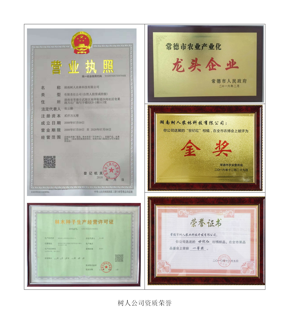湖南樹(shù)人農(nóng)林科技有限公司,湖南柑橘品種銷(xiāo)售,中國(guó)果樹(shù)網(wǎng),常綠果樹(shù)類(lèi)哪里好
