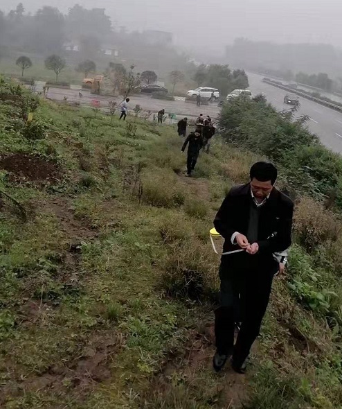 湖南樹人農(nóng)林科技有限公司,湖南柑橘品種銷售,中國果樹網(wǎng),常綠果樹類哪里好
