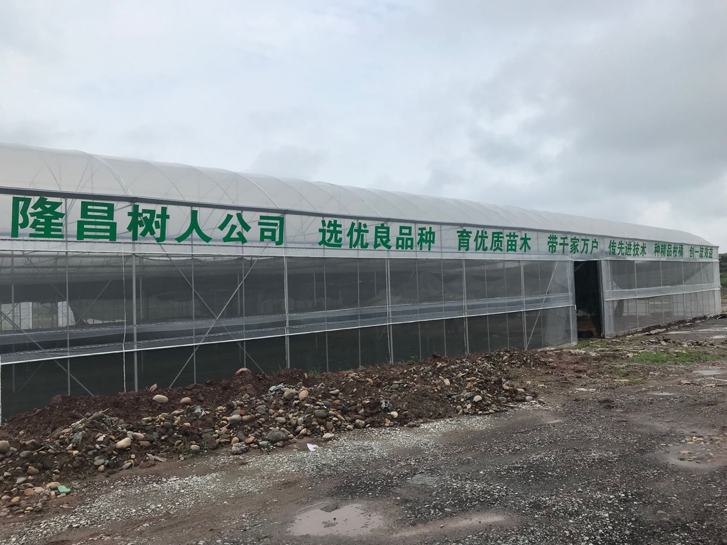 湖南樹人農(nóng)林科技有限公司,湖南柑橘品種銷售,中國果樹網(wǎng),常綠果樹類哪里好