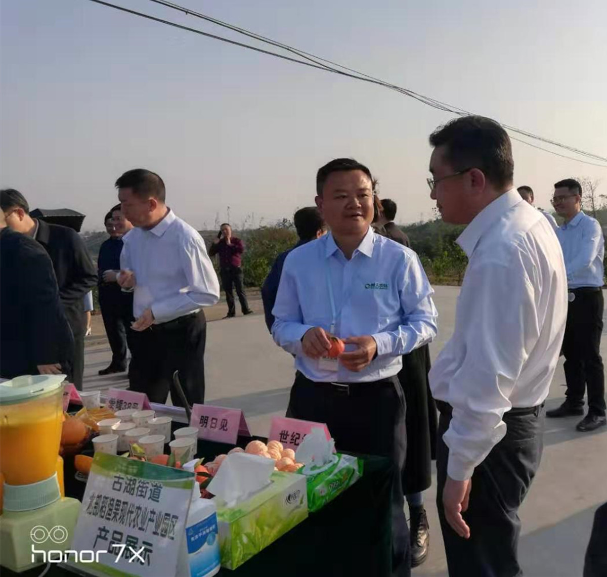湖南樹人農(nóng)林科技有限公司,湖南柑橘品種銷售,中國(guó)果樹網(wǎng),常綠果樹類哪里好
