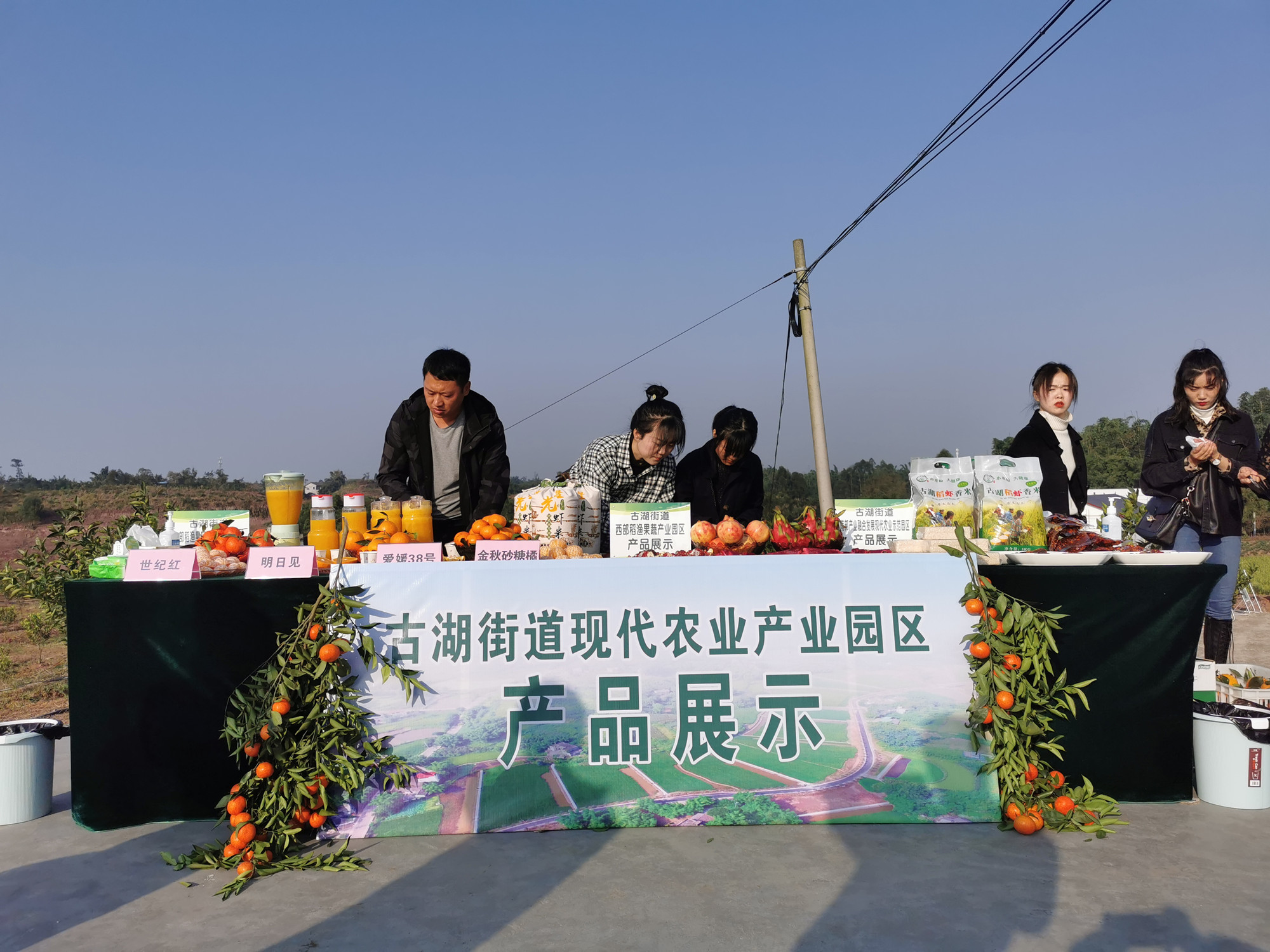 湖南樹人農(nóng)林科技有限公司,湖南柑橘品種銷售,中國(guó)果樹網(wǎng),常綠果樹類哪里好