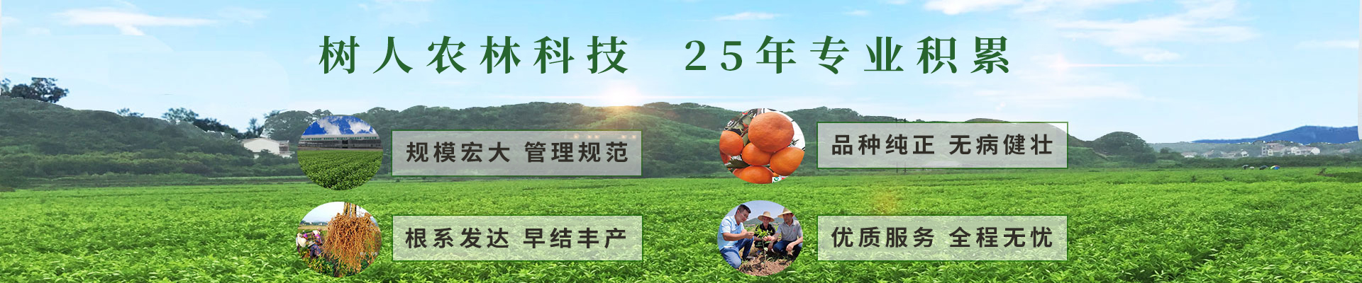 湖南樹(shù)人農(nóng)林科技有限公司_樹(shù)人農(nóng)林丨樹(shù)人農(nóng)業(yè)丨農(nóng)業(yè)科技丨現(xiàn)代農(nóng)業(yè)丨柑橘丨柑橘苗木丨果樹(shù)苗木丨綠化苗木丨種子種苗丨田園綜合體丨鄉(xiāng)村旅游丨觀光休閑等
