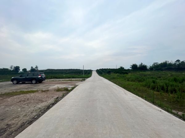湖南樹(shù)人農(nóng)林科技有限公司,湖南柑橘品種銷售,中國(guó)果樹(shù)網(wǎng),常綠果樹(shù)類哪里好
