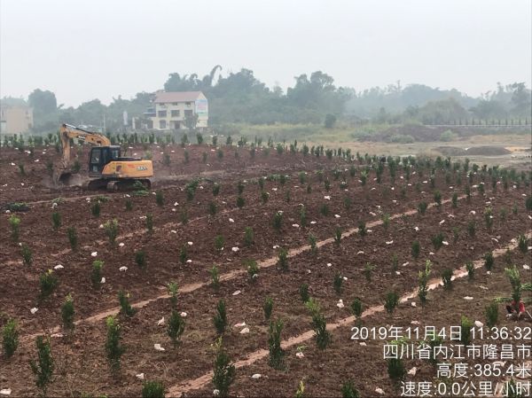 湖南樹(shù)人農(nóng)林科技有限公司,湖南柑橘品種銷售,中國(guó)果樹(shù)網(wǎng),常綠果樹(shù)類哪里好